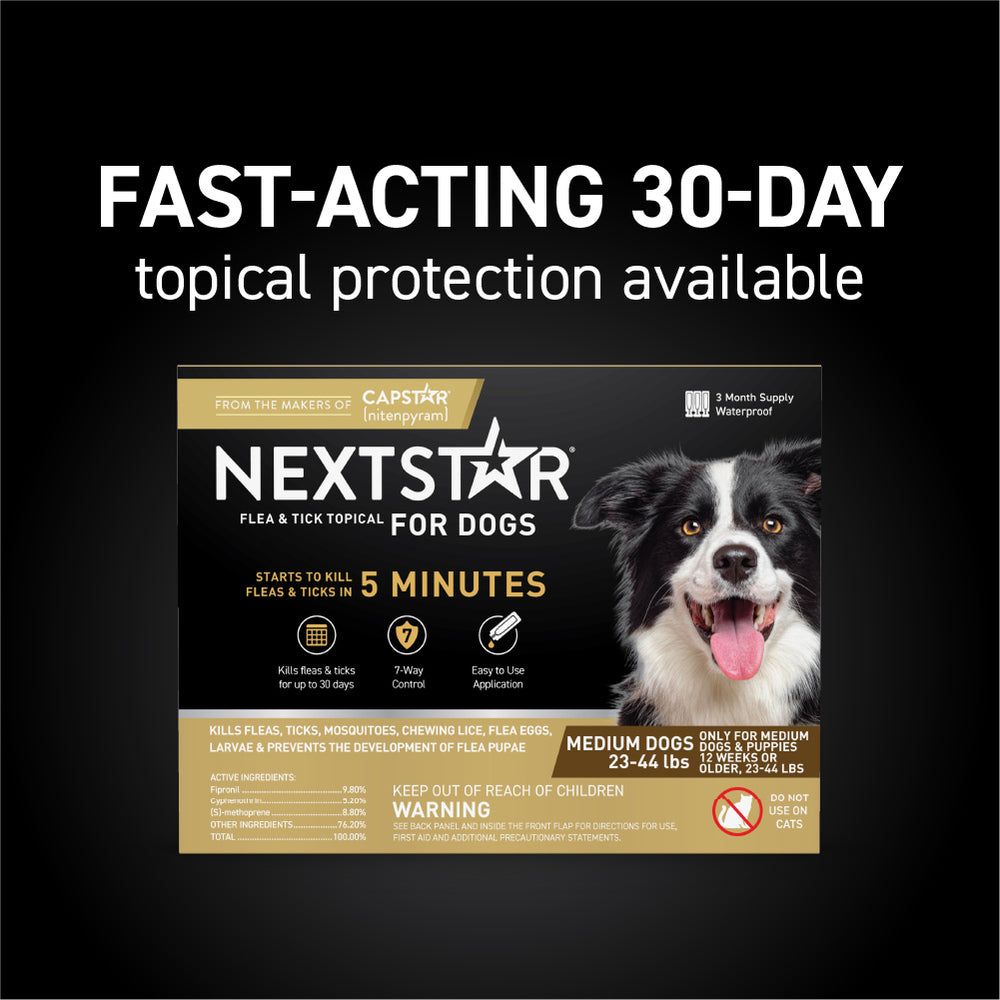 Dog Flea Treatment product image 12