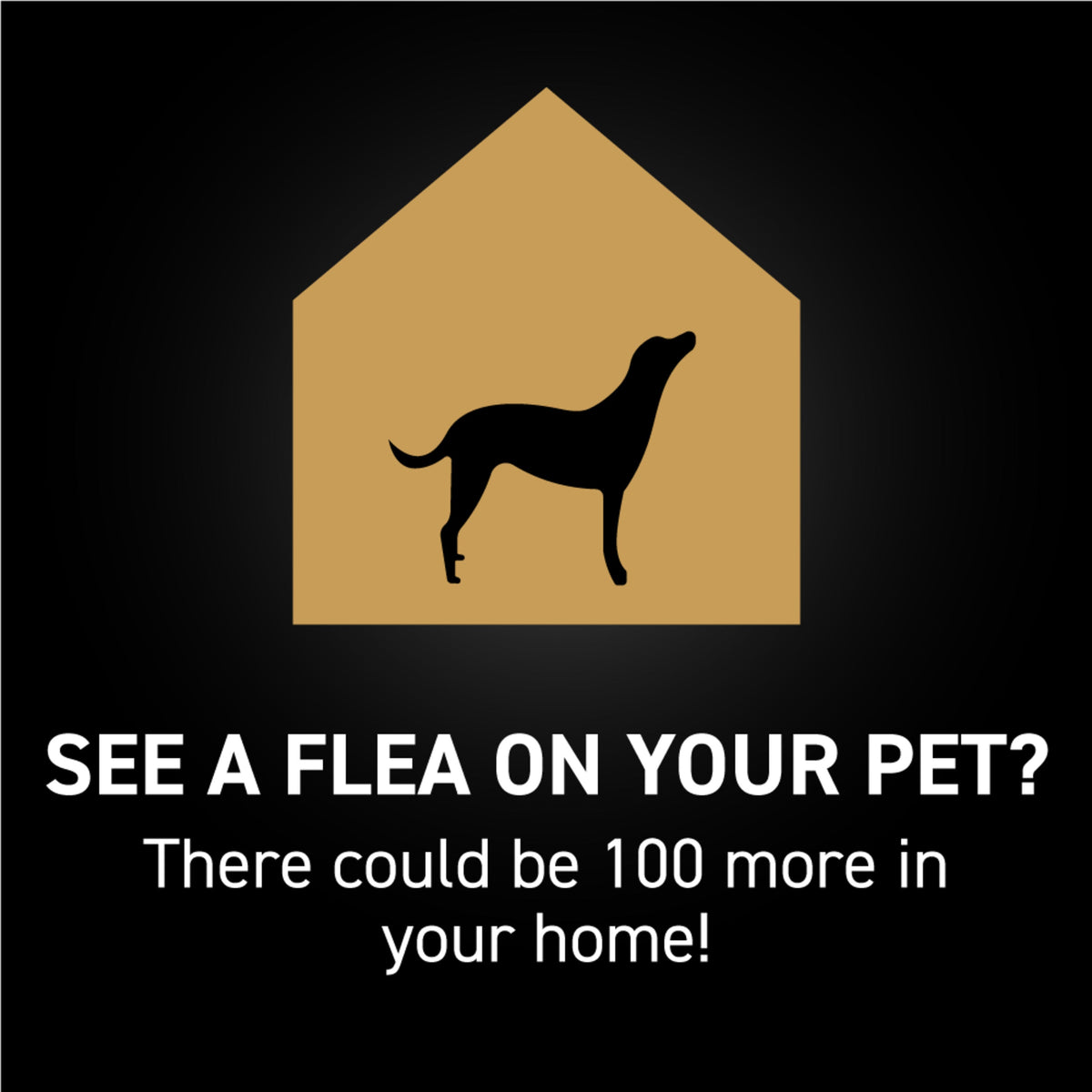 Dog Flea Treatment product image 16