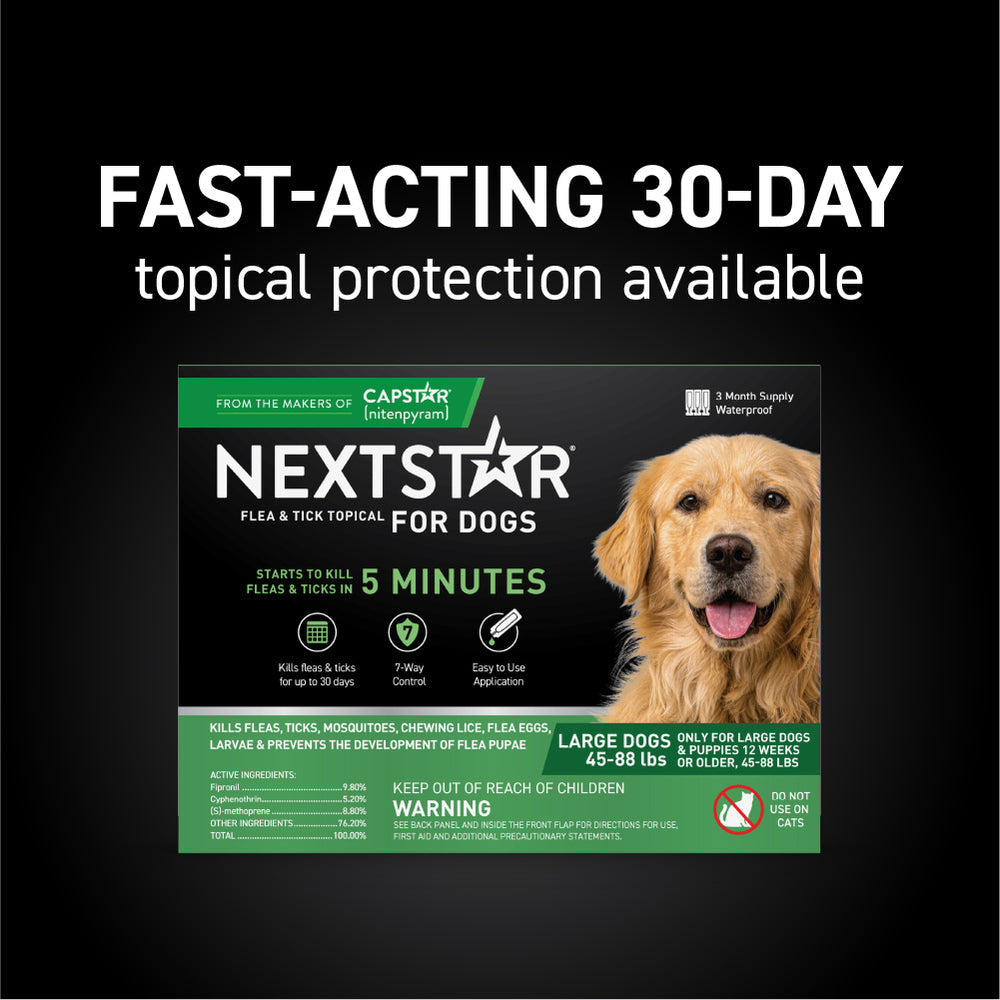 Dog Flea Treatment product image 19
