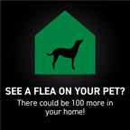 Dog Flea Treatment product image 23
