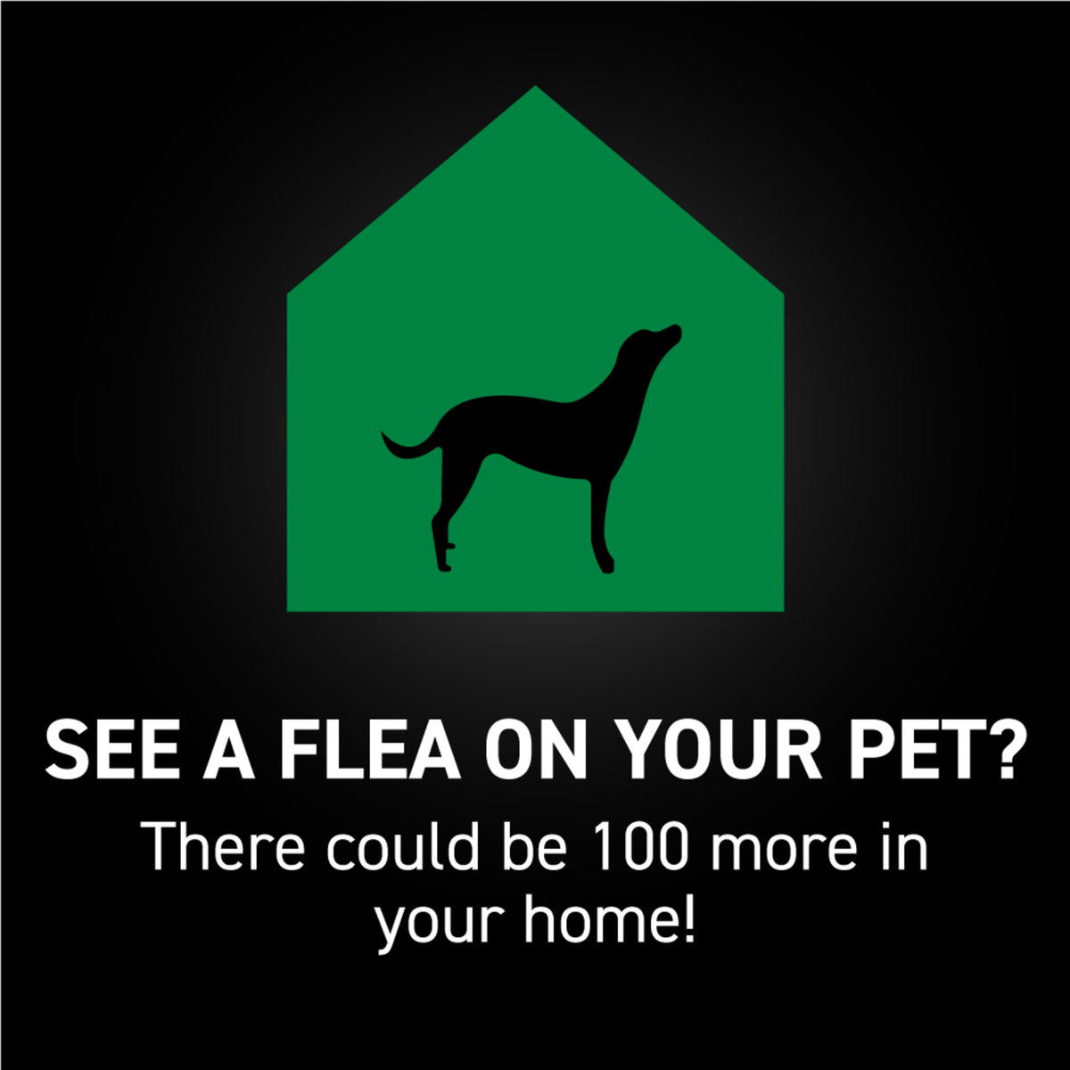 Dog Flea Treatment product image 23
