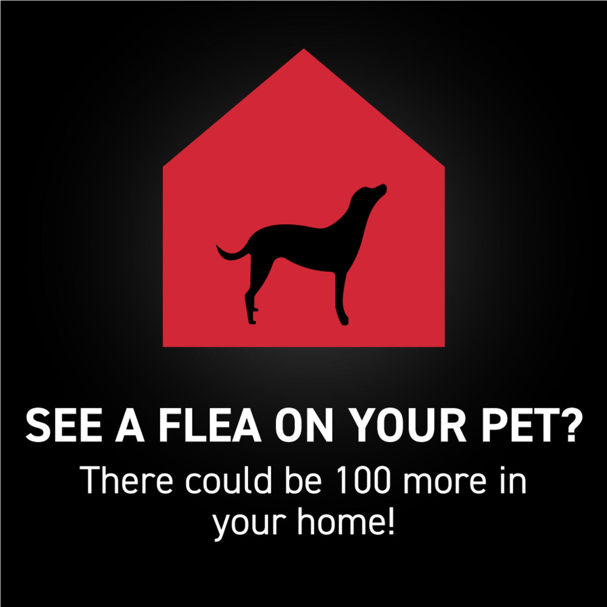 Dog Flea Treatment product image 30