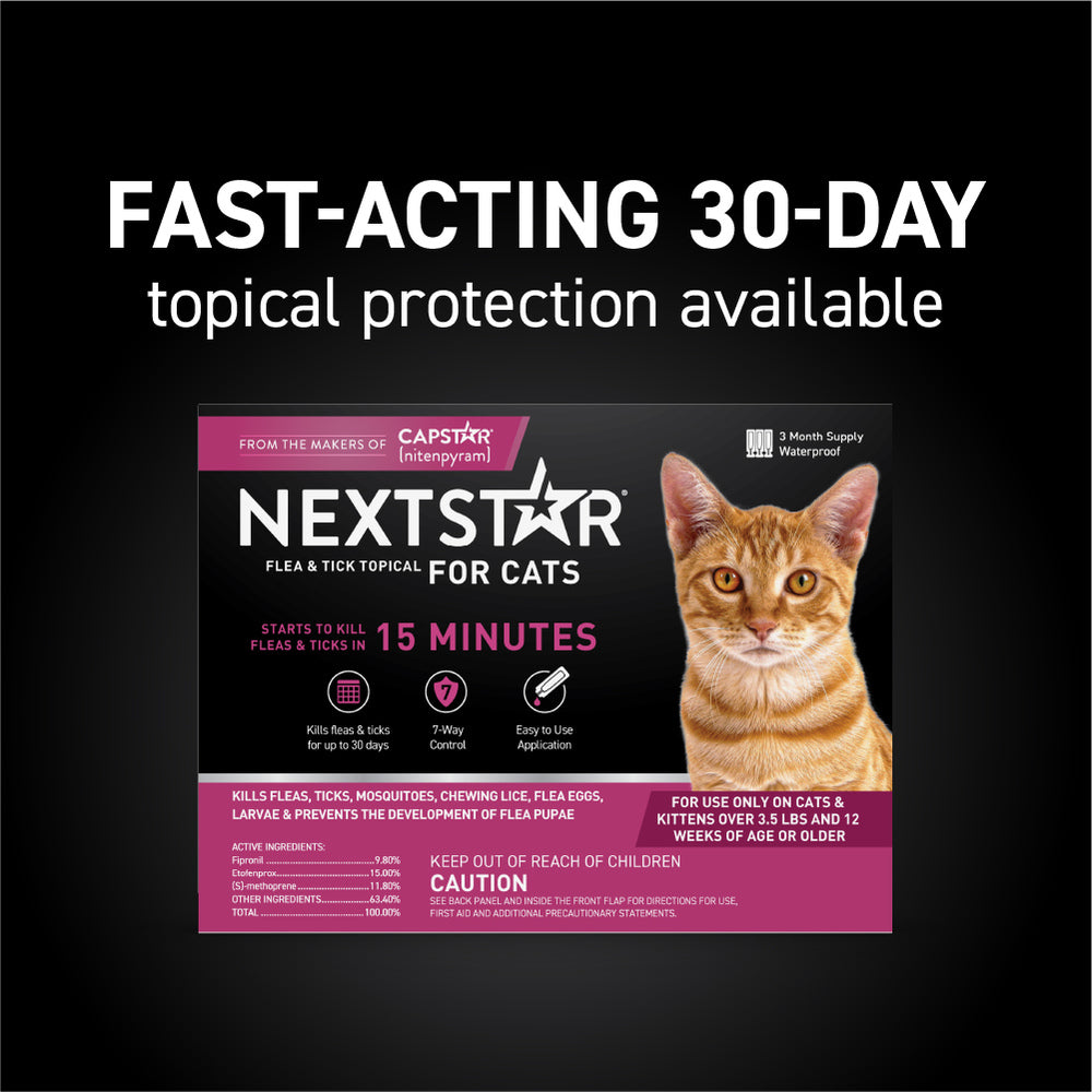 Cat Flea and Tick Spot Treatment product image 2