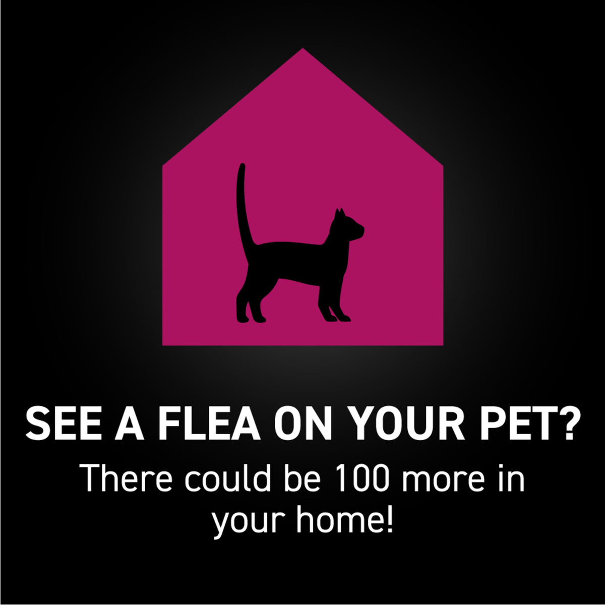 Cat Flea and Tick Spot Treatment product image 6