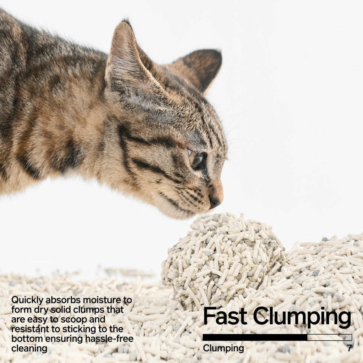 Tofu Cat Litter product image 3