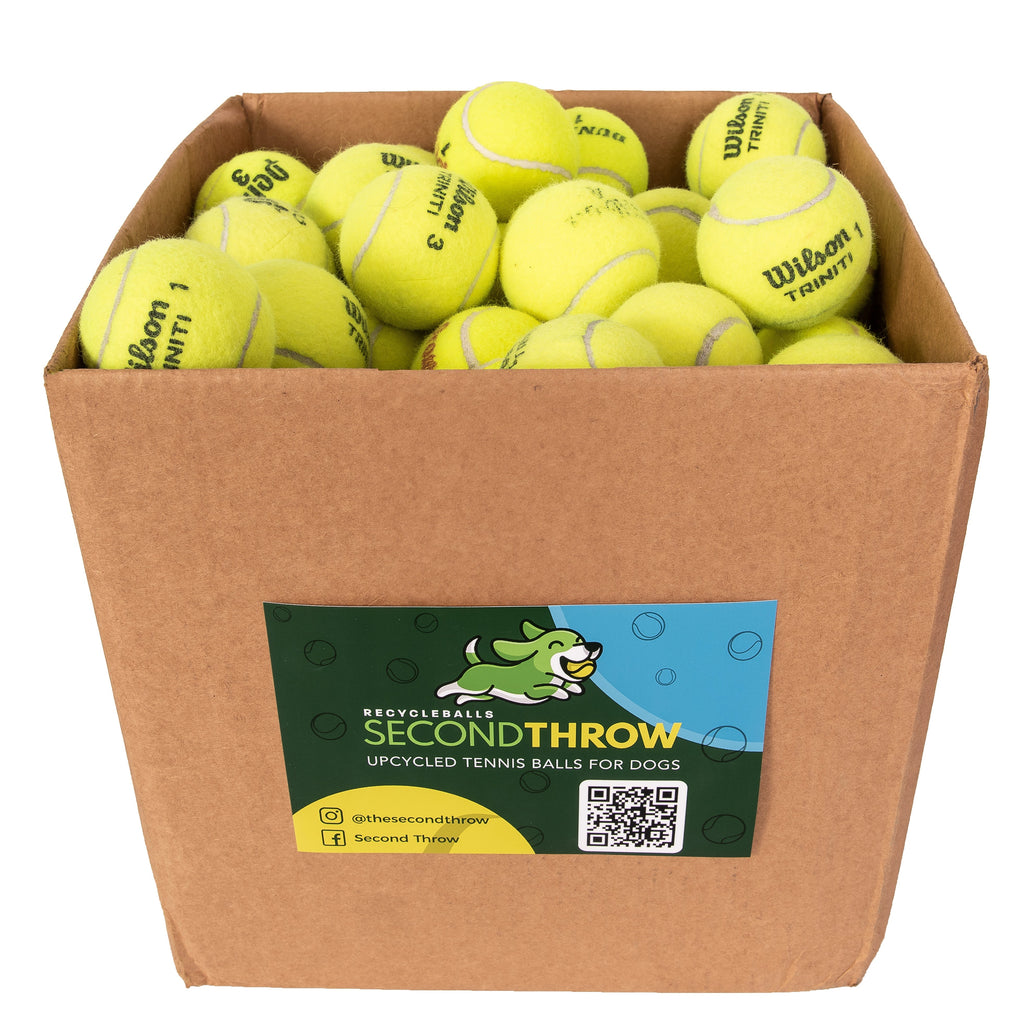 Box of 100 RecycleBalls Second Throw upcycled balls