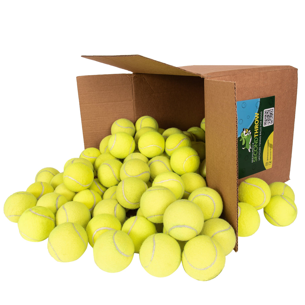 100 Tennis Balls For Dogs