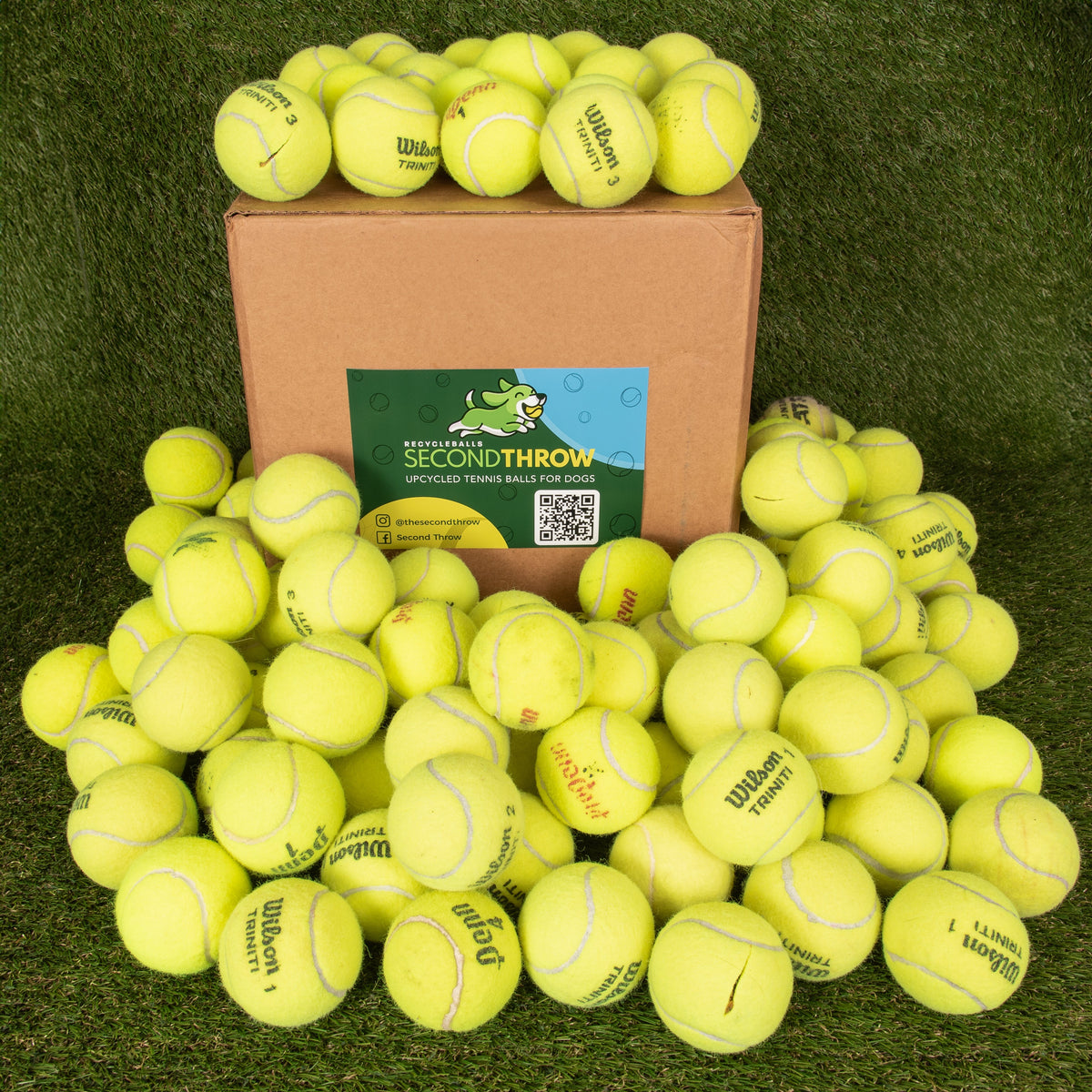 100 Tennis Balls For Dogs