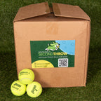 100 Tennis Balls For Dogs