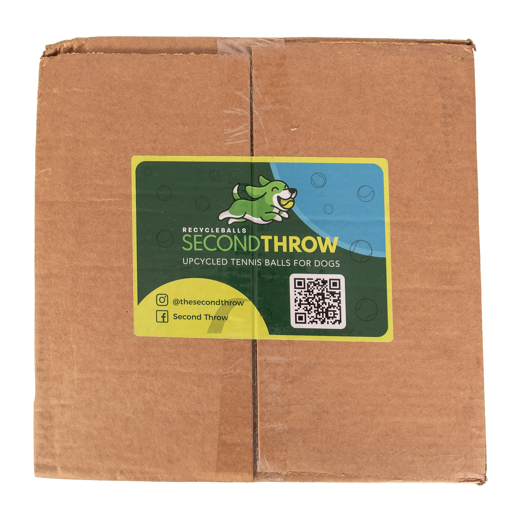 100 Tennis Balls For Dogs