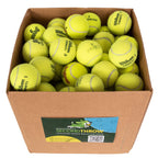100 Tennis Balls For Dogs