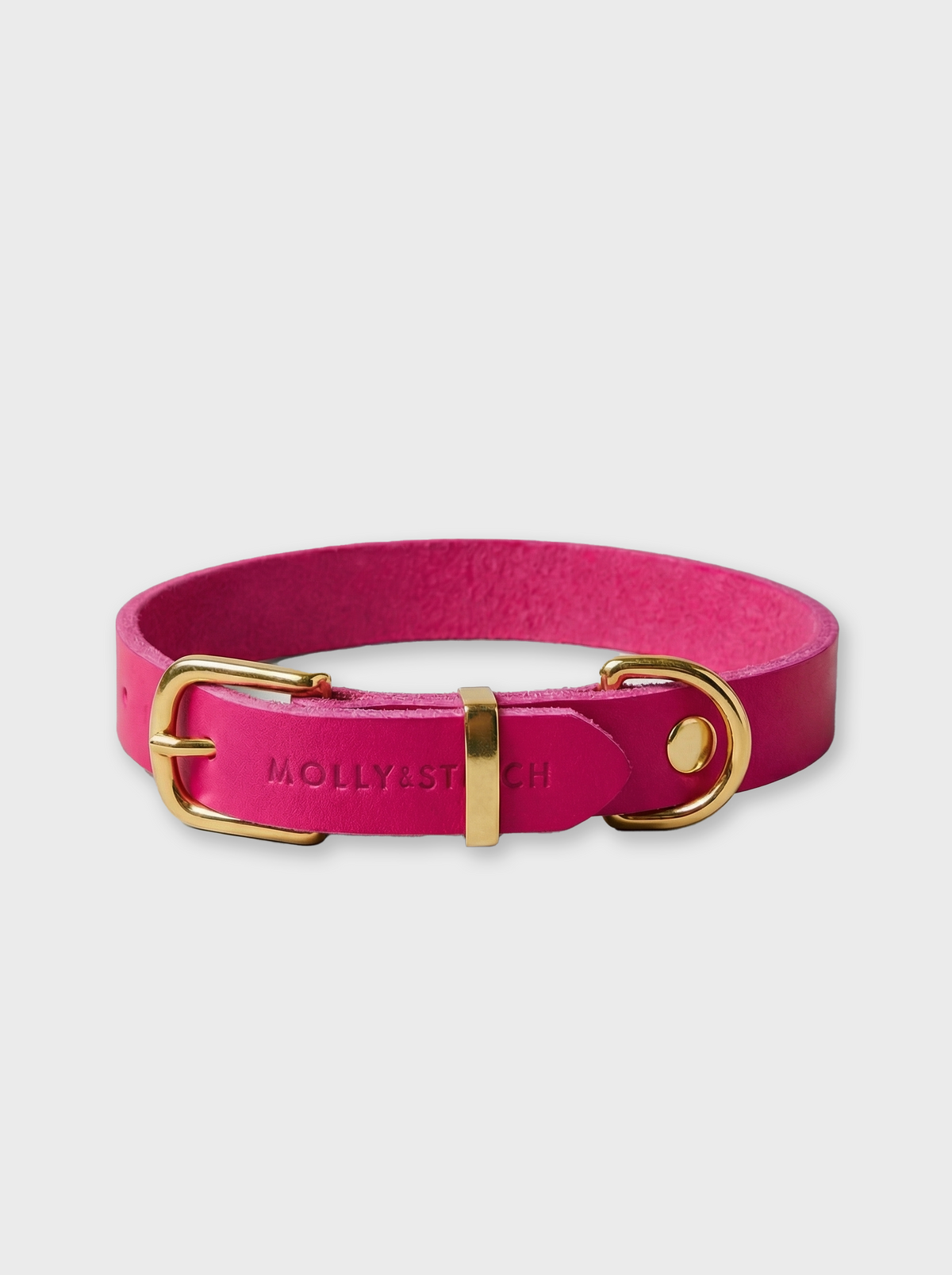 Dog Collar product image 1