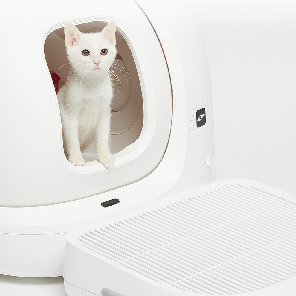 Cat Litter Ramp product image 2