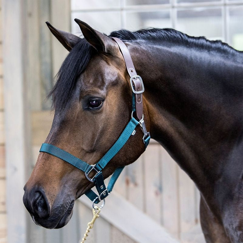 Nylon Breakaway Horse Halter product image 14