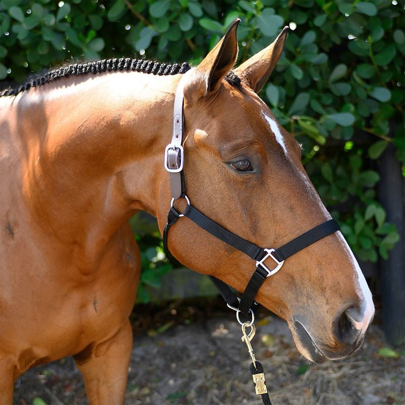 Nylon Breakaway Horse Halter product image 15