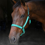 Nylon Breakaway Horse Halter product image 17