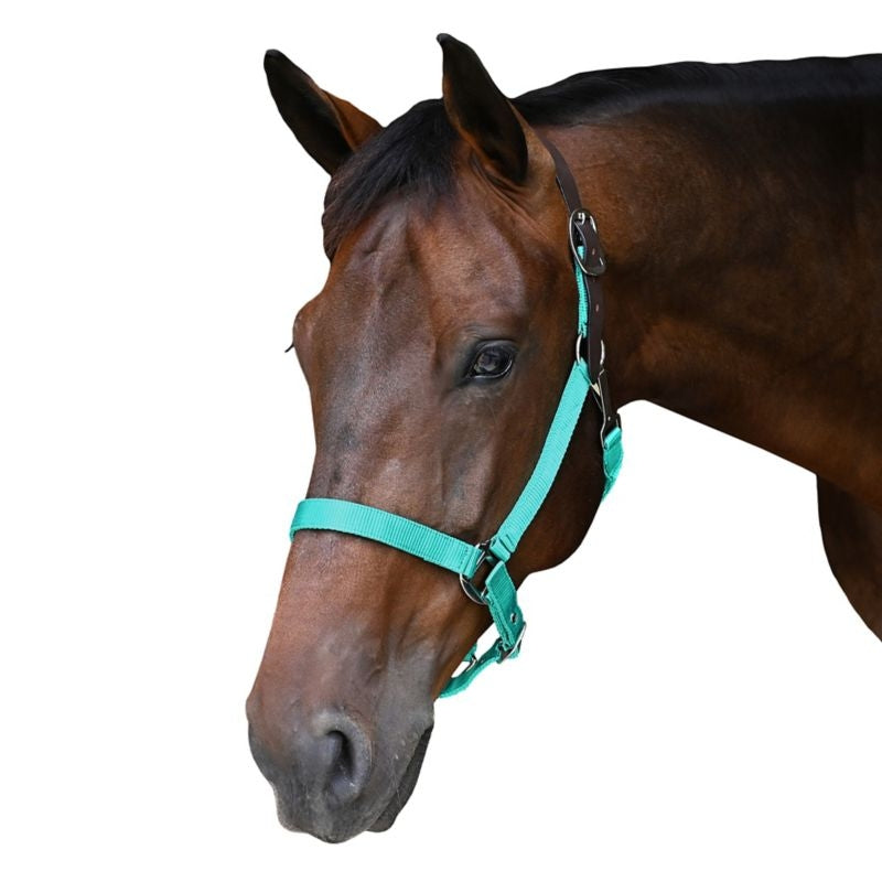 Nylon Breakaway Horse Halter product image 18