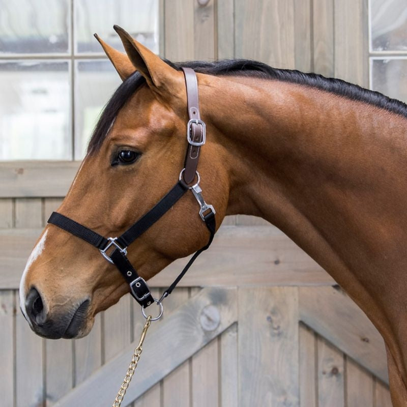 Nylon Breakaway Horse Halter product image 19