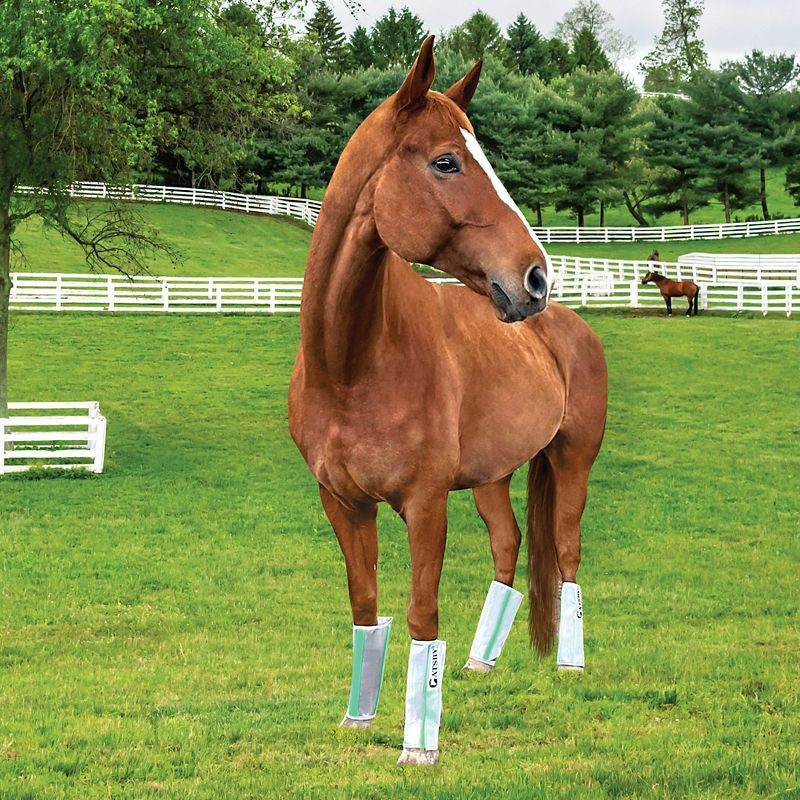 Horse Fly Boots product image 4
