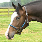 Leather Rope Horse Halter product image 6
