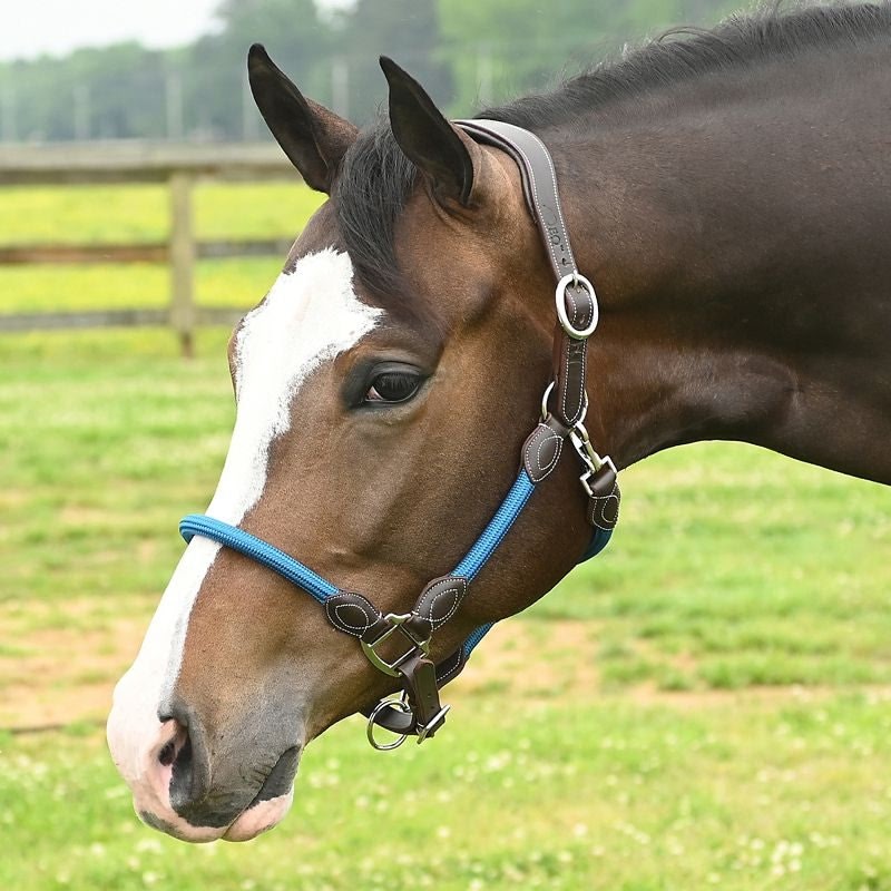 Leather Rope Horse Halter product image 6