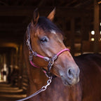 Leather Rope Horse Halter product image 8