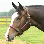 Leather Rope Horse Halter product image 9