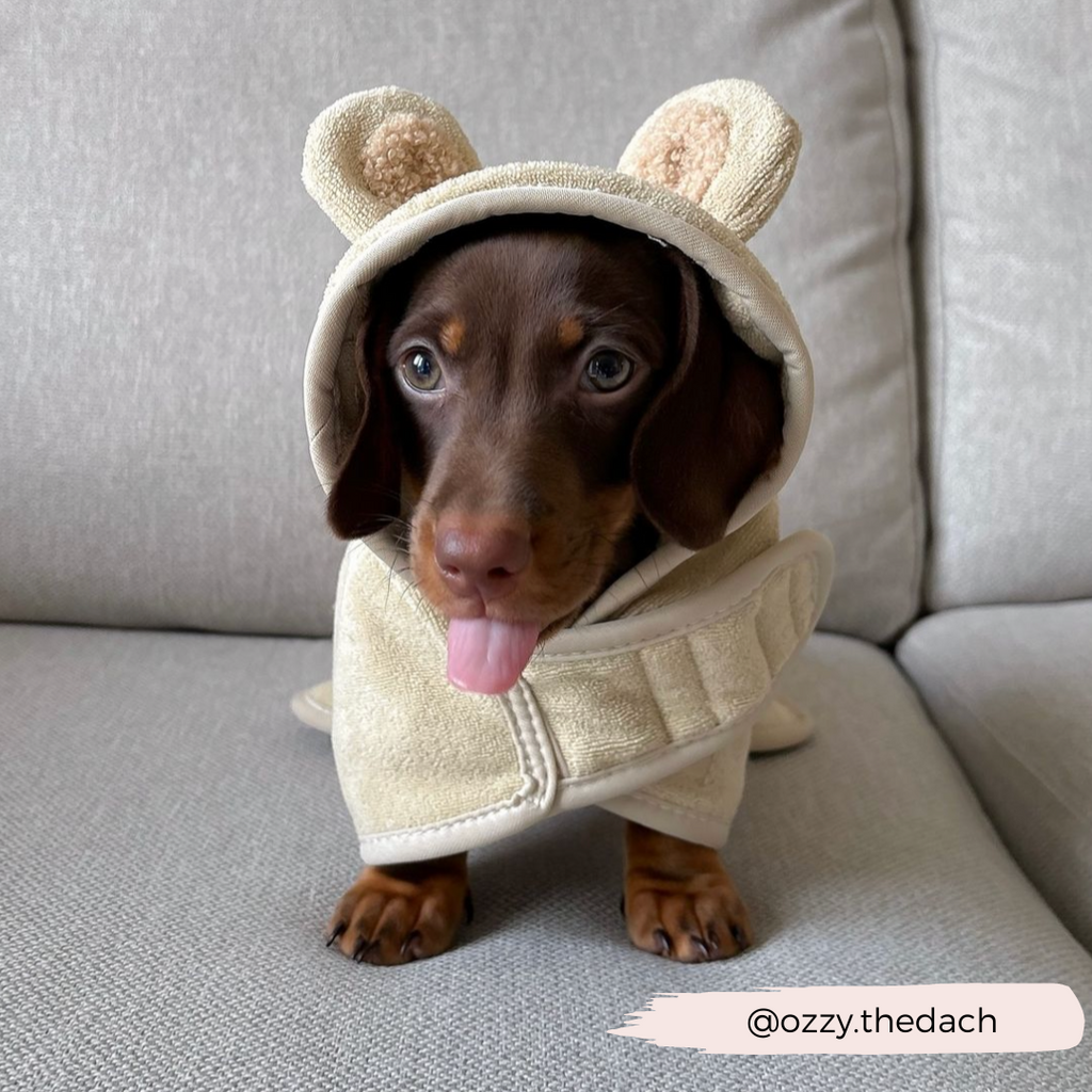 Dog Drying Robe product image 12