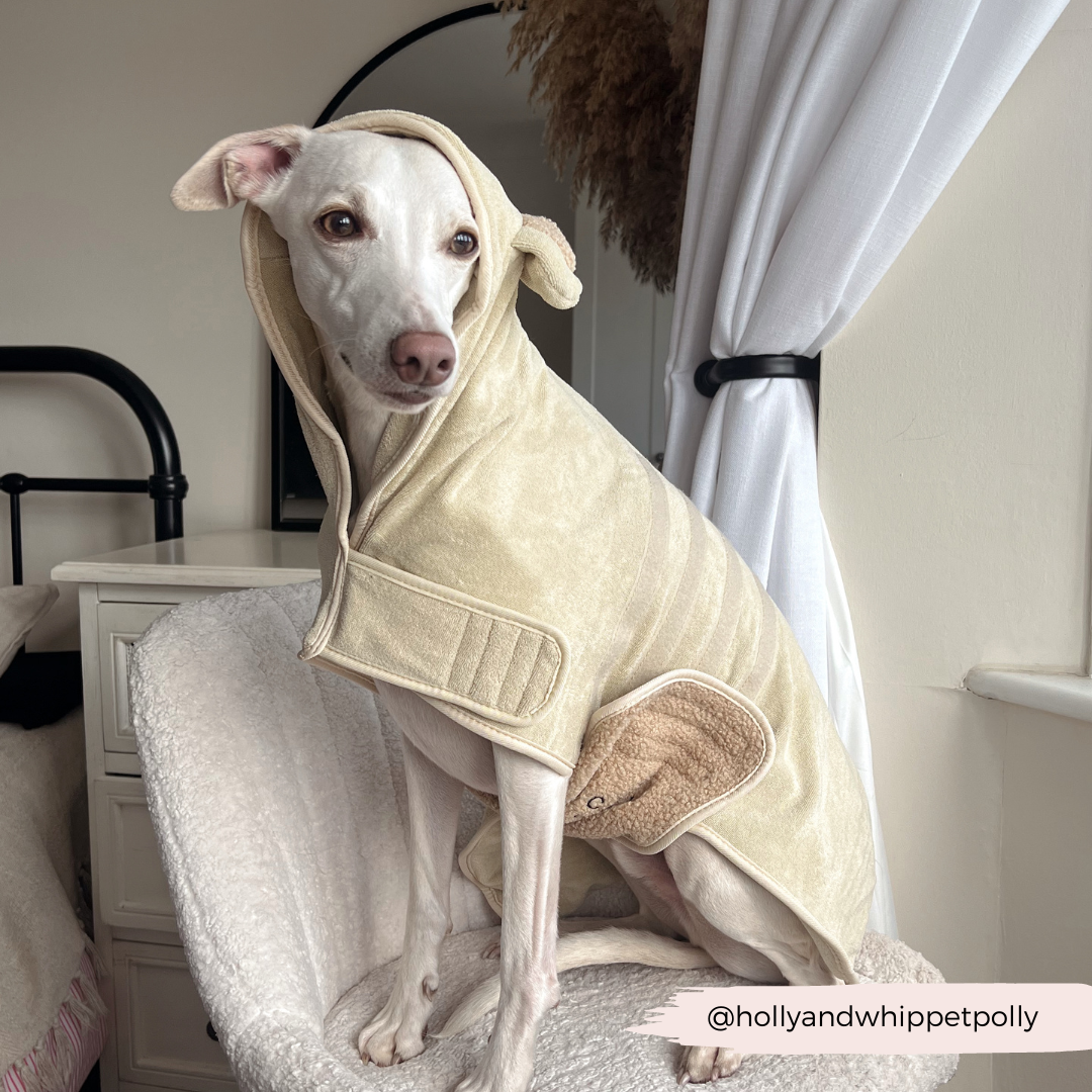 Dog Drying Robe product image 14