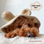 Dog Drying Robe product image 16