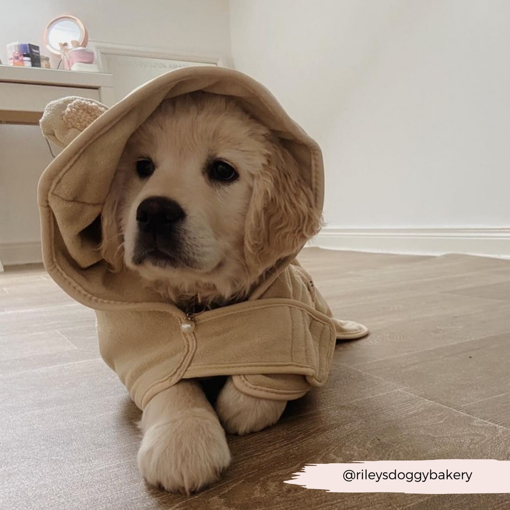 Dog Drying Robe product image 17
