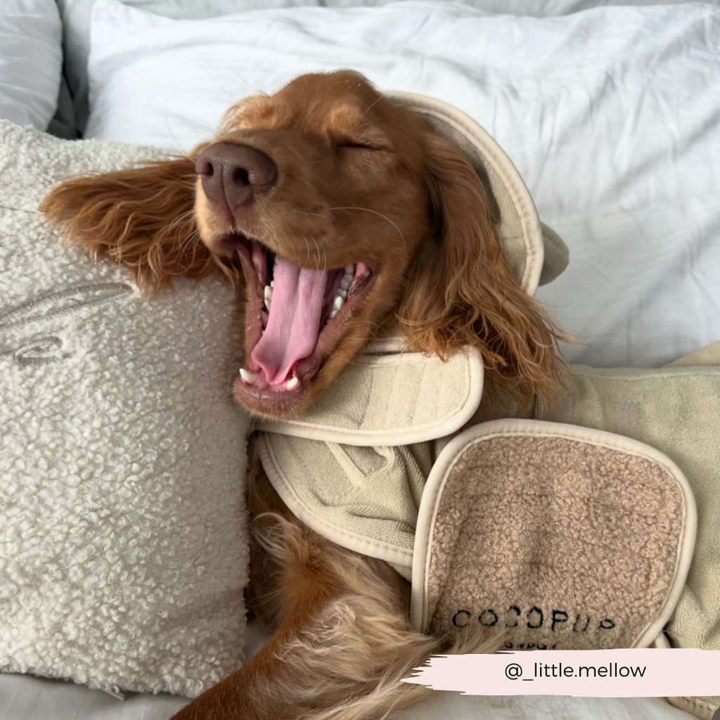 Dog Drying Robe product image 18