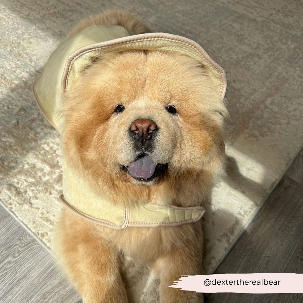 Dog Drying Robe product image 19