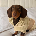 Dog Drying Robe product image 20