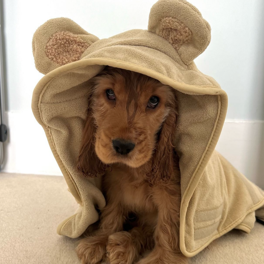 Dog Drying Robe product image 21