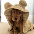 Dog Drying Robe product image 21
