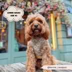 Dog Harness product image 9