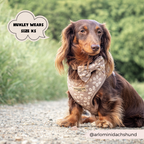 Dog Harness product image 10