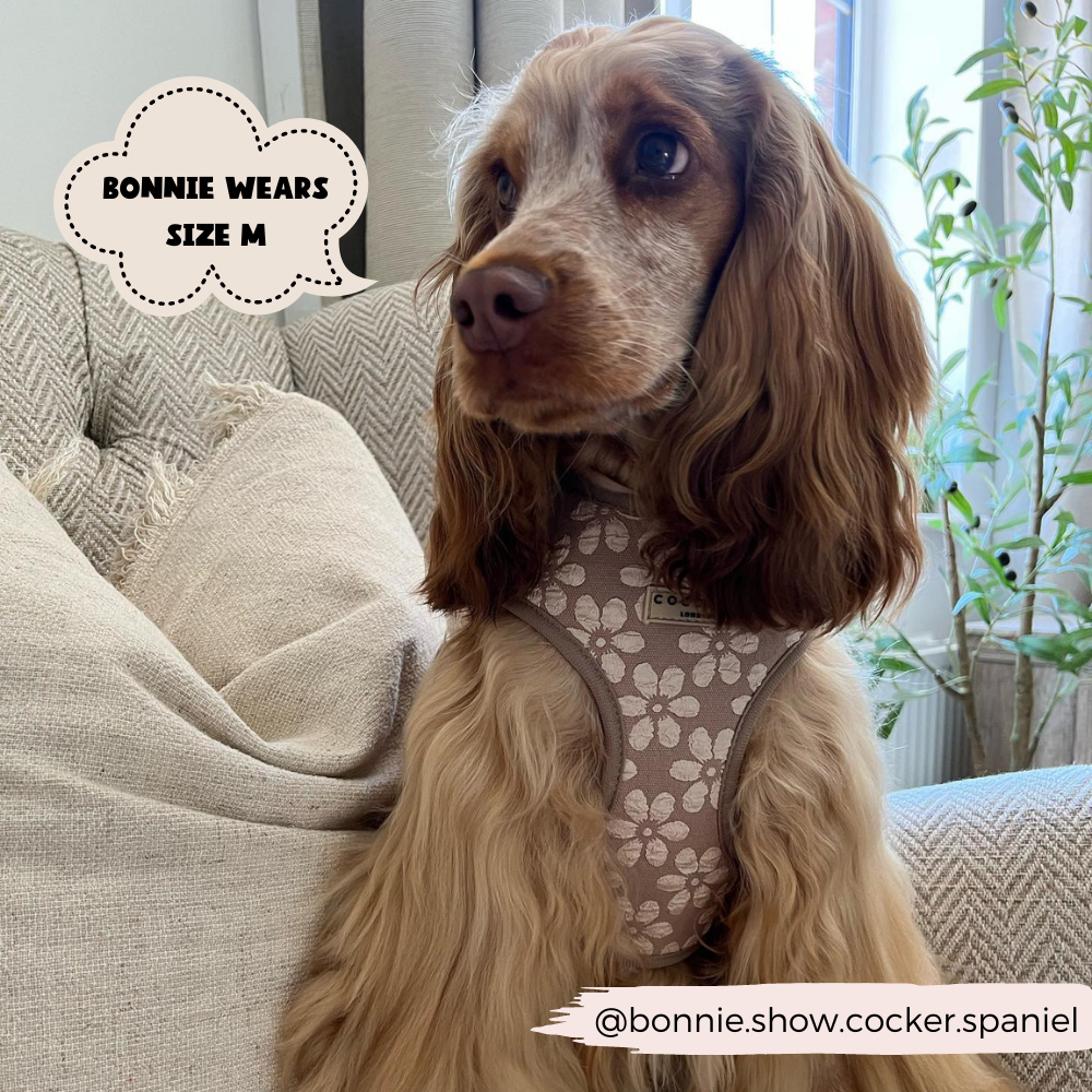 Dog Harness product image 13