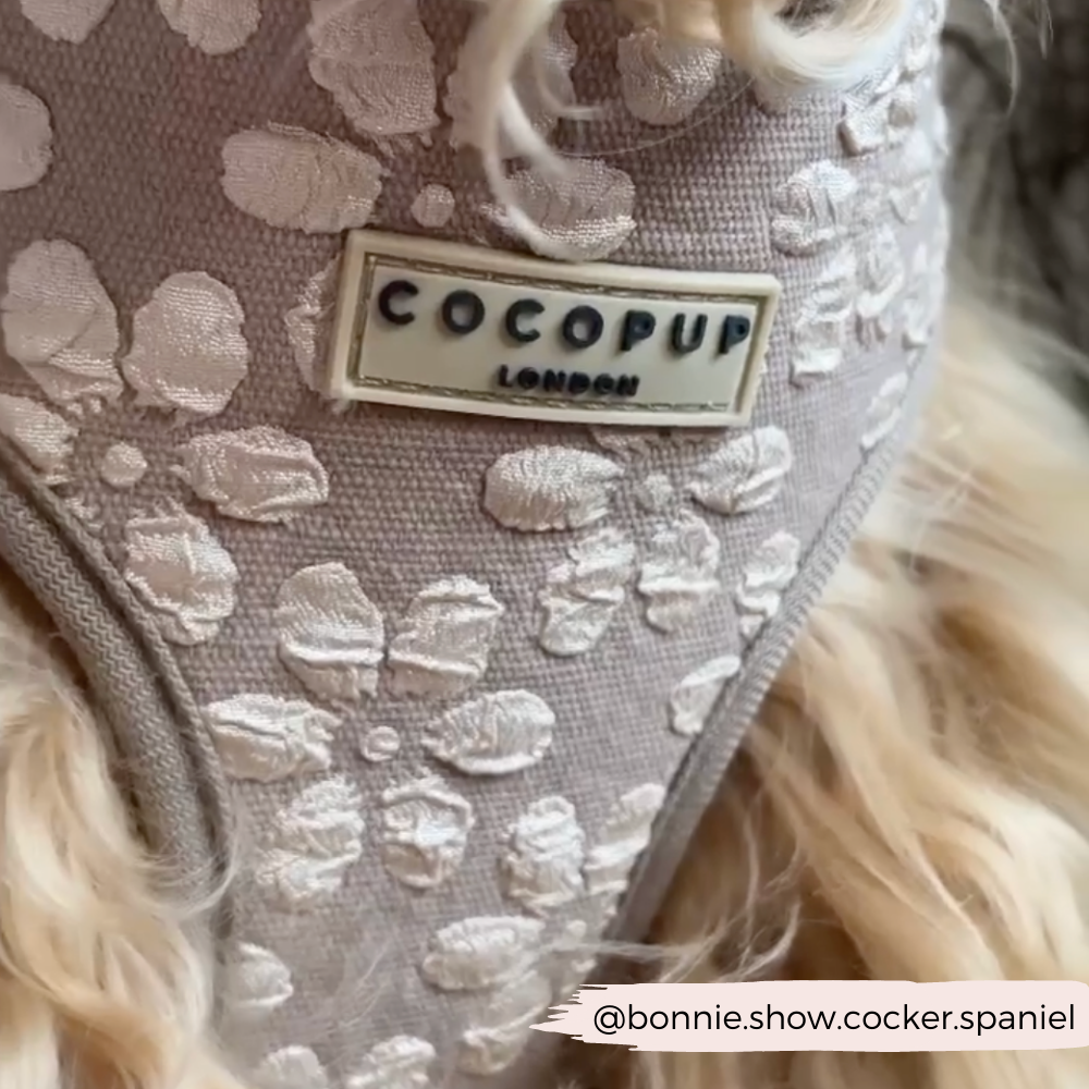 Dog Harness product image 16