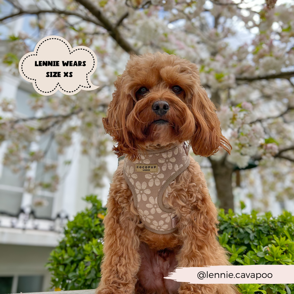 Dog Harness product image 23