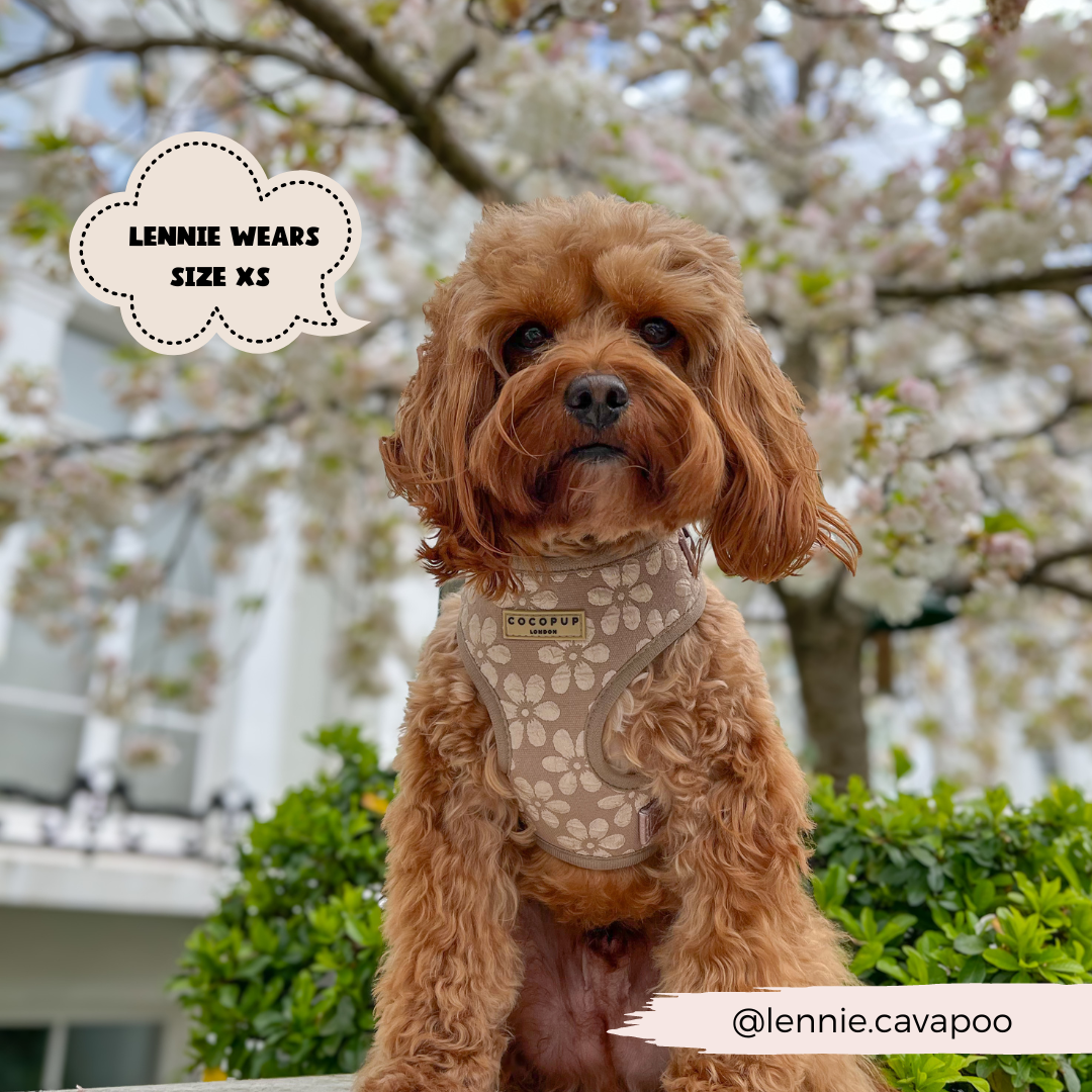 Dog Harness product image 23
