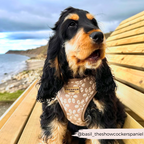 Dog Harness product image 25