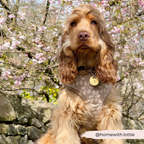 Dog Harness product image 27