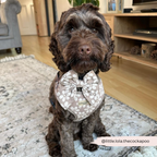 Dog Harness product image 33