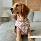 Dog Harness product image 34
