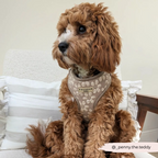 Dog Harness product image 38