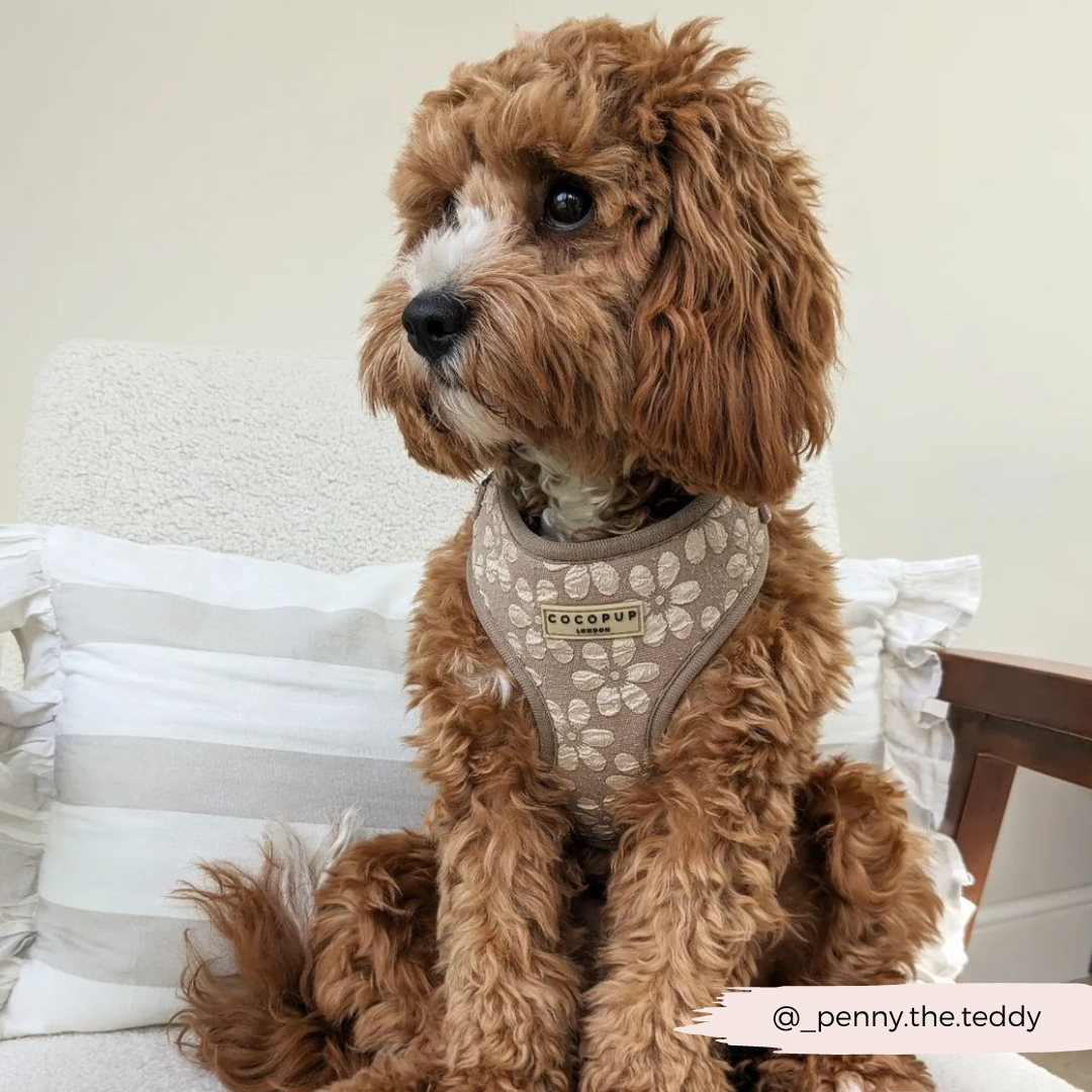 Dog Harness product image 38