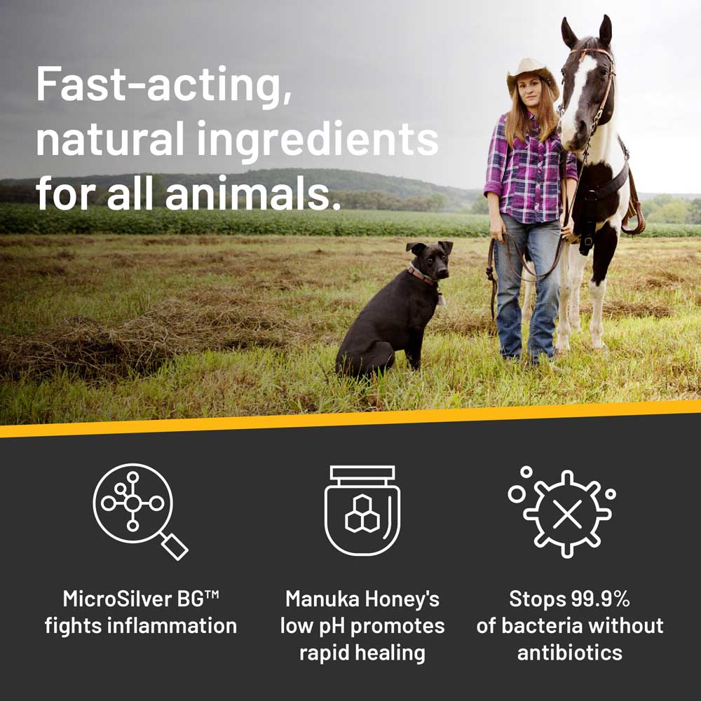 Pet Shampoo product image 2