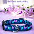 Padded Dog Collar product image 1